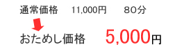 おためし価格　5,000円