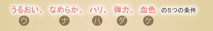 うるおい、なめらか、ハリ、弾力、血色の５つの条件