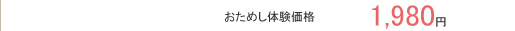 おためし体験価格 　　1,980円